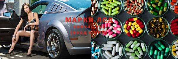 ПСИЛОЦИБИНОВЫЕ ГРИБЫ Баксан