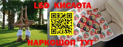 гидра Тайшет