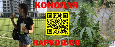 гидра Тайшет
