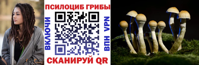 Псилоцибиновые грибы GOLDEN TEACHER Губаха