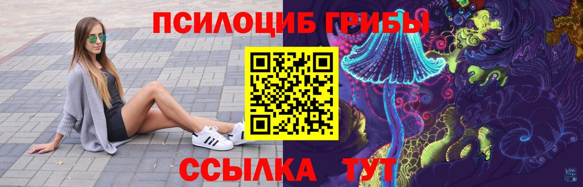 Псилоцибиновые грибы ЛСД Губаха