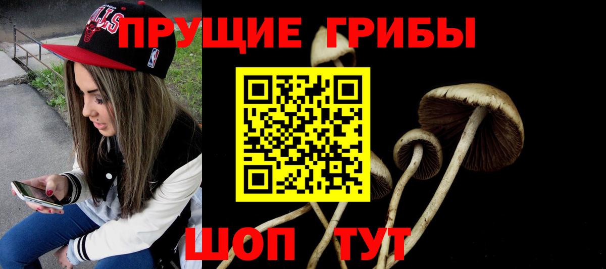 Губаха  Псилоцибиновые грибы MAGIC MUSHROOMS  Вход с VPN 